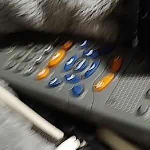 Meet your Posher, Marietta